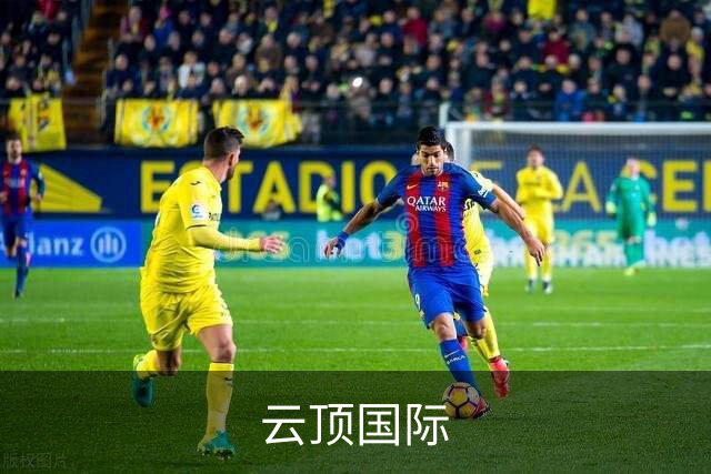 云顶国际公司简介图片